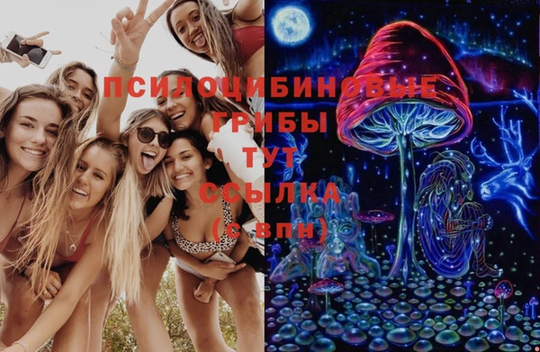 метадон Карпинск