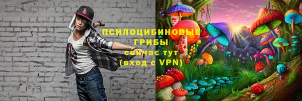 дживик Касимов