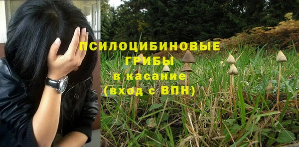 метадон Карпинск