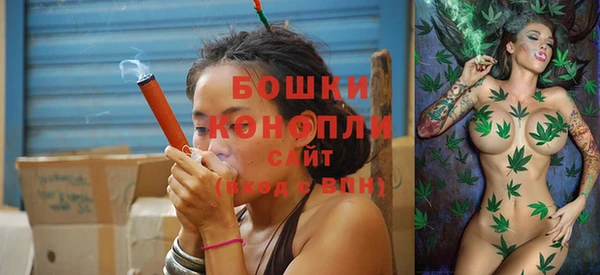 дживик Касимов