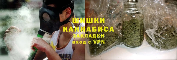 дживик Касимов
